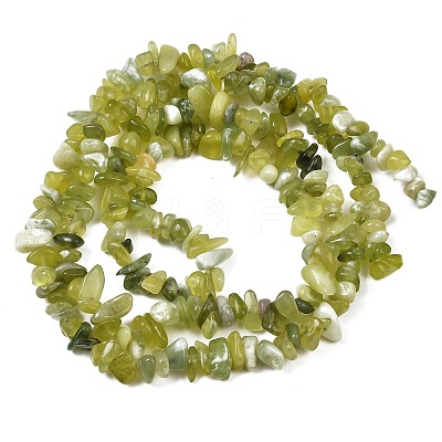 Natural Jade Chip Beads Strands X-G-B160-B02-1