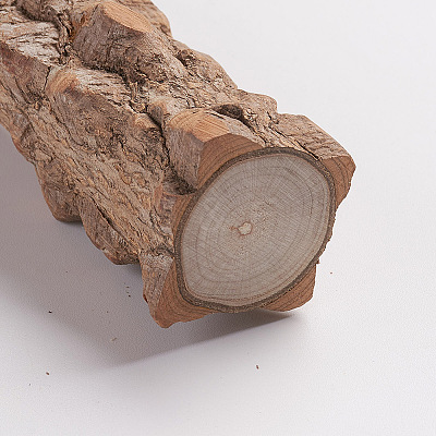 Wood Perch Bird Platform LS-AJEW-WH0113-61A-1