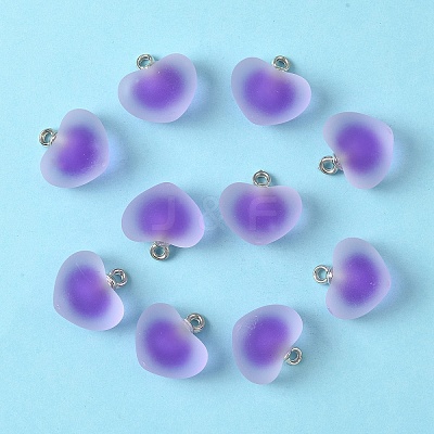10Pcs Frosted Resin Pendants RESI-YW0004-45B-1