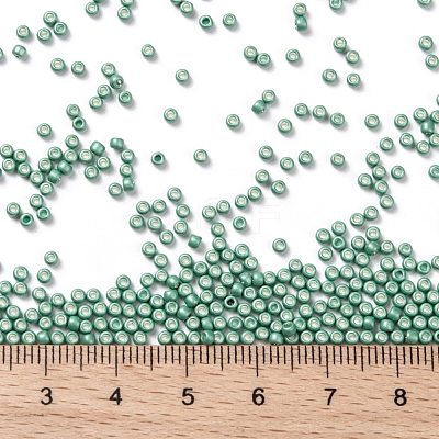 TOHO Round Seed Beads SEED-XTR11-0561F-1