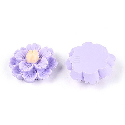 Resin Decoden Cabochons CRES-T025-04D-1
