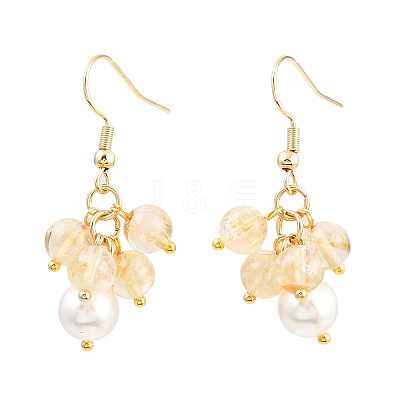 6 Pairs Natural Gemstone Dangle Earrings EJEW-JE06622-1