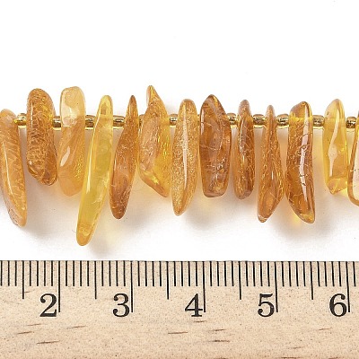 Natural Amber Beads Strands G-L095-D01-05-1