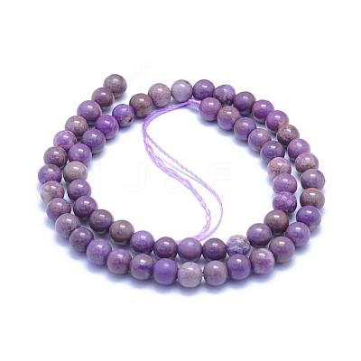 Natural Lepidolite/Purple Mica Stone Beads Strands G-L552H-09B-1