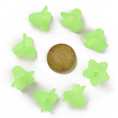 Transparent Acrylic Beads PLF018-05-1