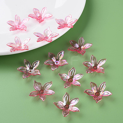 Transparent Acrylic Beads MACR-S373-102-C-1