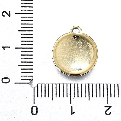 304 Stainless Steel Charms STAS-H233-04G-1