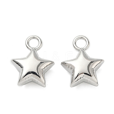 Alloy Pendants FIND-K025-02P-1