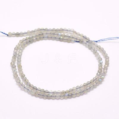 Natural Labradorite Beads Strands G-F509-03-4mm-1