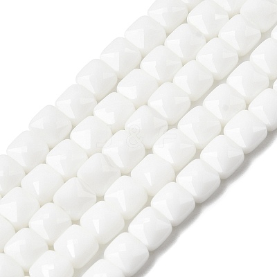 Opaque Glass Beads Strands GLAA-L050-C24-1