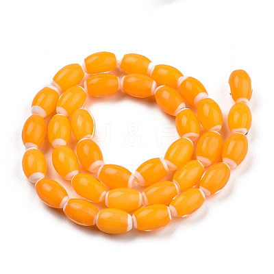 Handmade Lampwork Beads Strands LAMP-N023-004-11-1