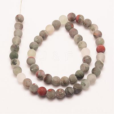 Natural African Bloodstone Beads Strands G-P295-05-6mm-1