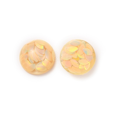 Transparent Resin Cabochons RESI-WH0027-11C-1