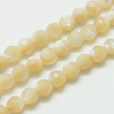 Natural Shell Beads Strands G-K020-3mm-02-1