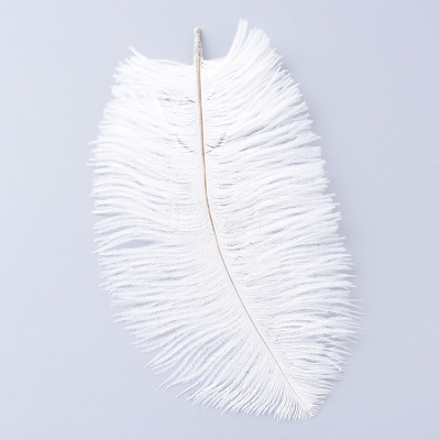 Ostrich Feather Costume Accessories FIND-R036-A-16-1