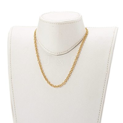 304 Stainless Steel Rolo Chain Necklaces NJEW-JN03411-1