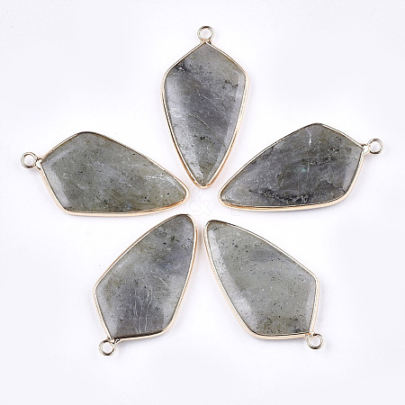 Natural Labradorite Pendants G-T112-25A-1