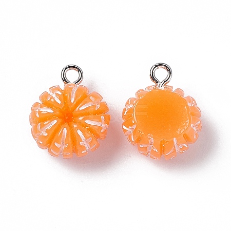 Opaque Resin Imitation Fruit Pendants RESI-G061-02-1