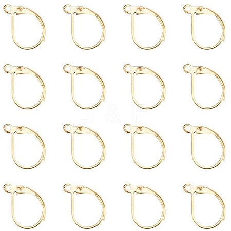 Brass Leverback Earring Findings KK-PH0026-22G-RS-1