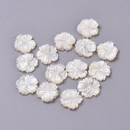 Natural White Shell Mother of Pearl Shell Cabochons SSHEL-L013-07-1