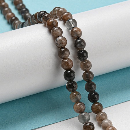 Natural Black Moonstone Beads Strands G-A219-A01-01-1