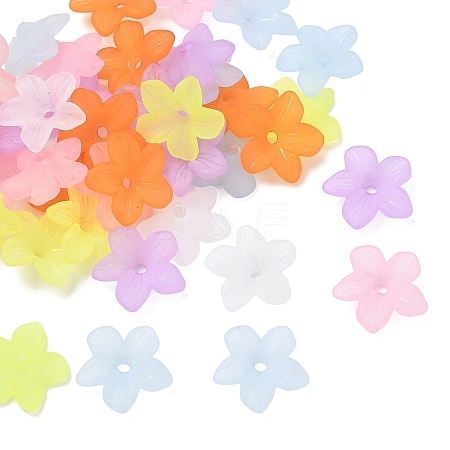 5-Petal Transparent Acrylic Bead Caps FACR-T001-06A-1