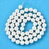 Rainbow Plated Shell Pearl Bead Strands BSHE-L025-02-6mm-2