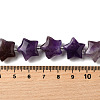 Natural Amethyst Quartz Beads Strands G-NH0005-030-5
