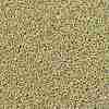 TOHO Round Seed Beads SEED-JPTR15-PF0559-2