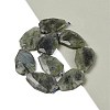 Natural Labradorite Beads Strands G-P548-B14-01-2