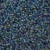 MIYUKI Round Rocailles Beads X-SEED-G007-RR0249-3