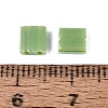 FGB 2-Hole Glass Seed Beads SEED-S031-L-124-3