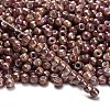 TOHO 6/0 Round Beads SEED-TR06-1203-2
