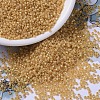 MIYUKI Round Rocailles Beads SEED-JP0008-RR0677-1