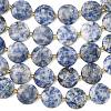 Natural Blue Spot Jasper Beads Strands G-A292-A10-01-5