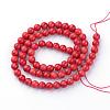 Dyed Natural Coral Bead Strands CORA-S019-33-2