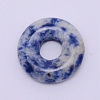 Natural Sodalite Pendants G-WH0007-10P-1