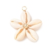Natural Mixed Cowrie Shell Pendants PALLOY-JF03859-01-2