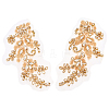 1 Pair Computerized Embroidery Polyester with Glass and Stainless Steel Iron on/Sew on Patches DIY-FG0010-35B-1