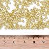 12/0 Glass Seed Beads SEED-A017-2mm-1107-3