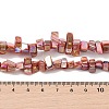 Natural Freshwater Shell Beads Strands BSHE-H018-07-5