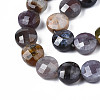 Natural Indian Agate Beads Strands X-G-S359-369-3