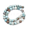 Natural Larimar Beads Strands G-C264-A01-10mm-3