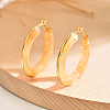 201 Stainless Steel Acrylic Hoop Earrings for Women IG1029-2-1