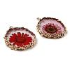 Inner Dried Flower Resin Pendants RESI-P028-02KCG-03-3