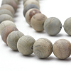 Natural Silver Leaf Jasper Beads Strands G-T106-234-2