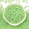 Baking Paint Glass Seed Beads SEED-L011-09A-18-2