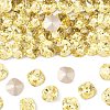 Preciosa® MAXIMA Crystal Fancy Stones Y-PRC-FC10-80100-1