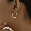 304 Stainless Steel Hoop Earrings JM7846-4