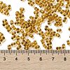 Glass Seed Beads SEED-L011-02B-05-4